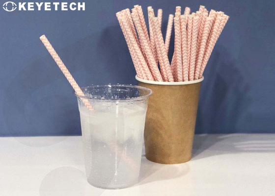 Sistemas de inspeção automatizados da visão para as palhas bebendo de papel