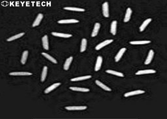 Laboratório do analisador da qualidade do arroz da análise de alimento com o 900-1200pcs pela velocidade minúscula