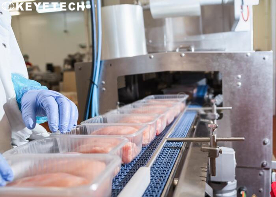 Equipamento de empacotamento da inspeção para recipientes de alimento descartáveis plásticos dos PP