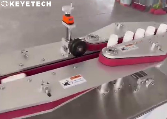 Máquina autônoma da inspeção visual da garrafa com auto sistema da rejeção & da contagem