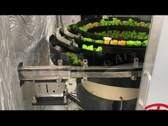 Máquina de triagem de tampa de bico de pescoço curto